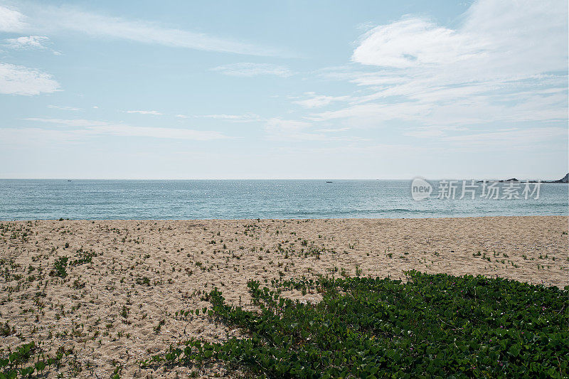 armacao Beach - Florianopolis, Santa Catarina，圣卡塔琳娜